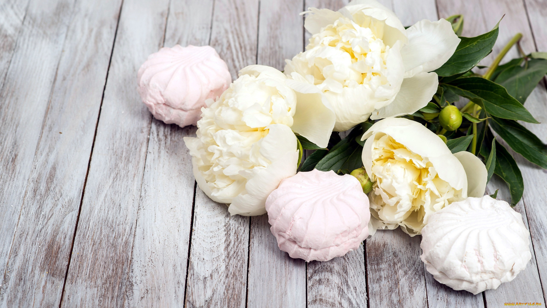 еда, конфеты, , шоколад, , сладости, лакомство, пионы, зефир