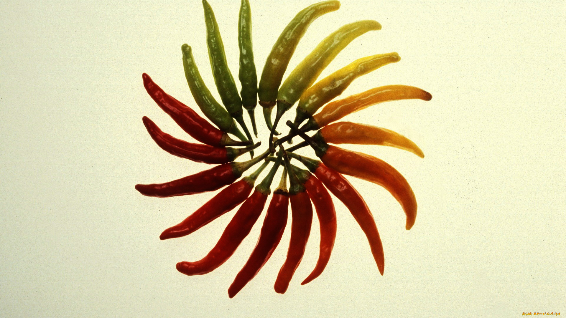 еда, перец, стручки, острый, перчик, жгучий