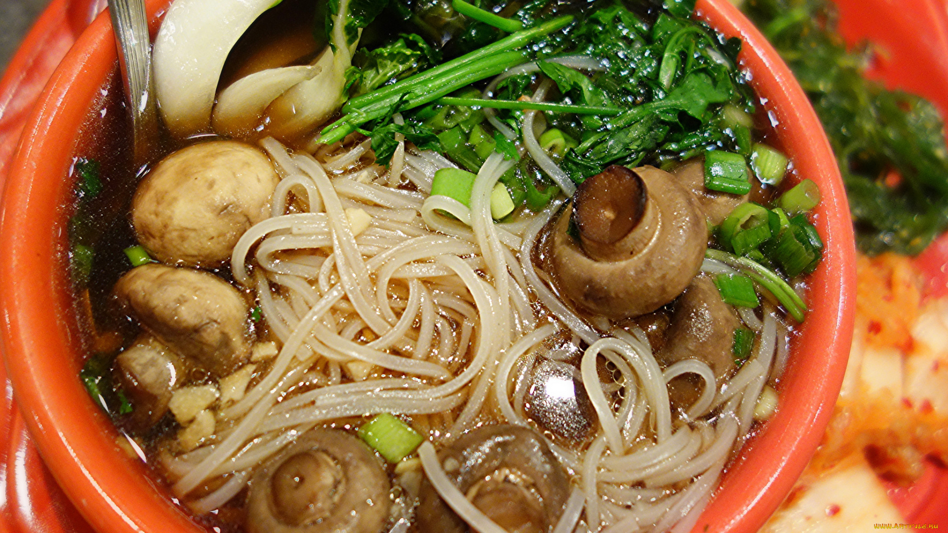 еда, первые, блюда, суп