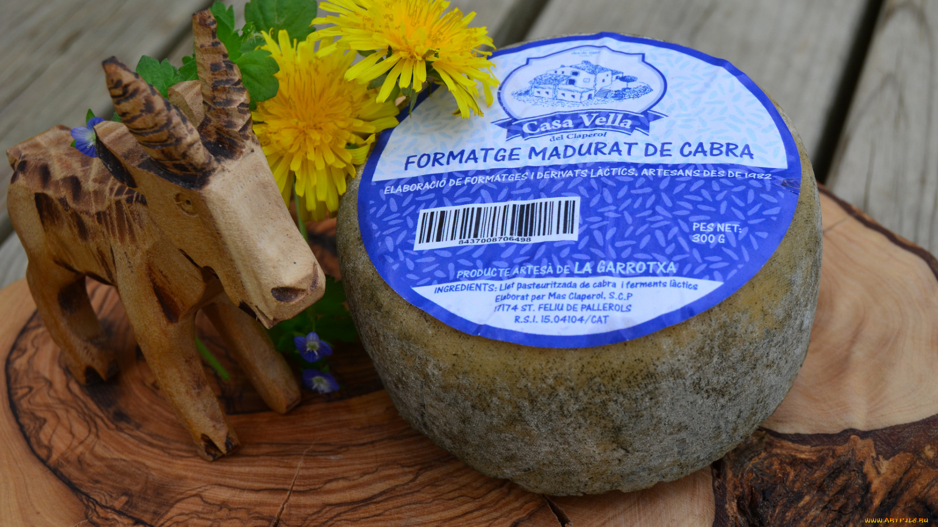 еда, сырные, изделия, сыр