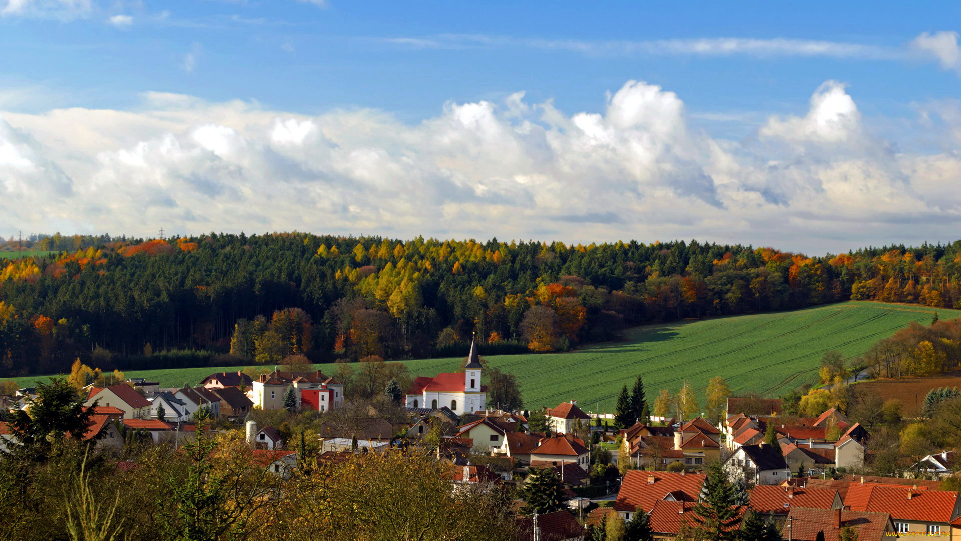 города, -, панорамы, город, осень, поля, леса