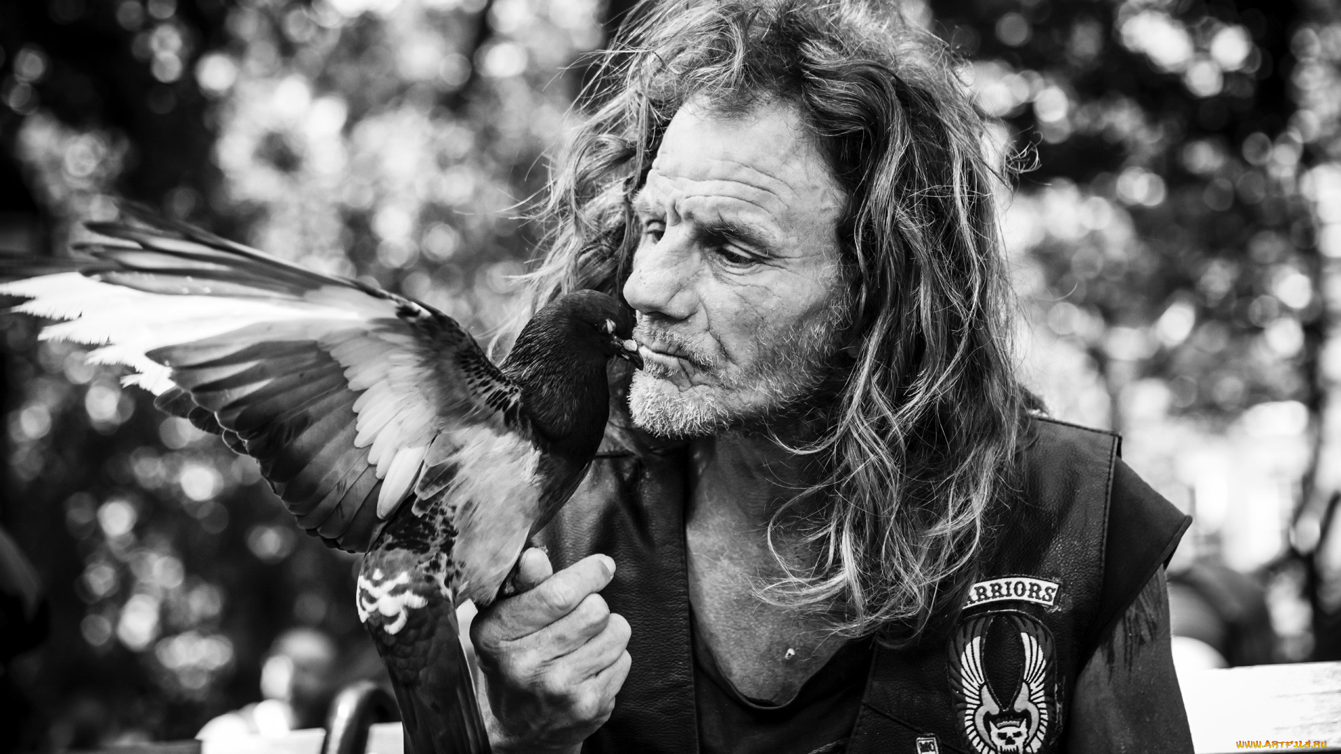 мужчины, -, unsort, портрет, человек, птица