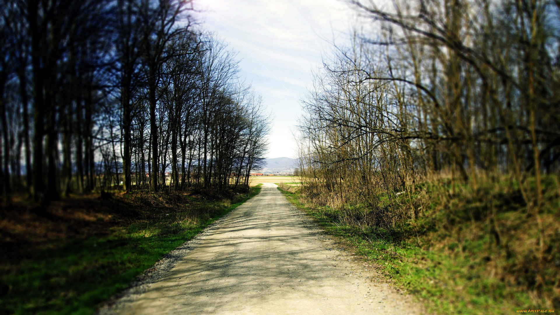 природа, дороги, весна, деревья, дорога, проселочная