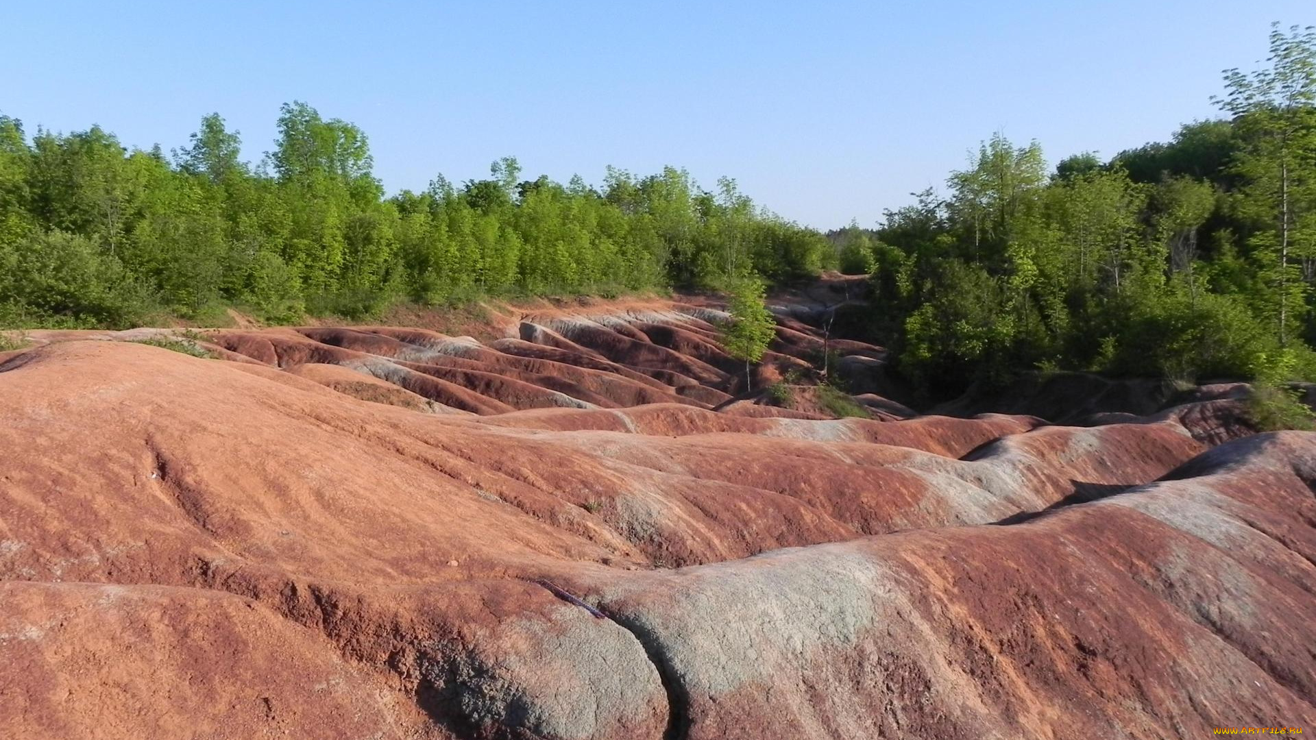 природа, пейзажи, деревья, скалы, лес