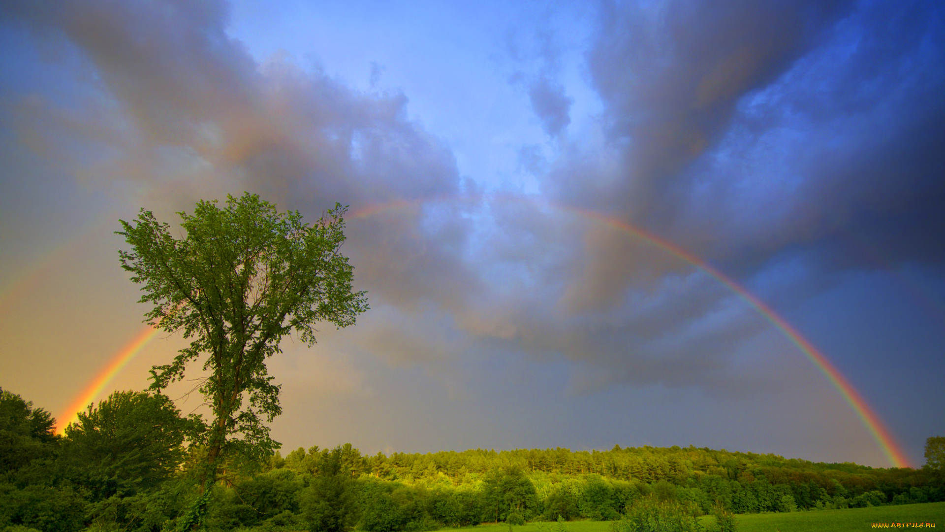 природа, радуга, простор