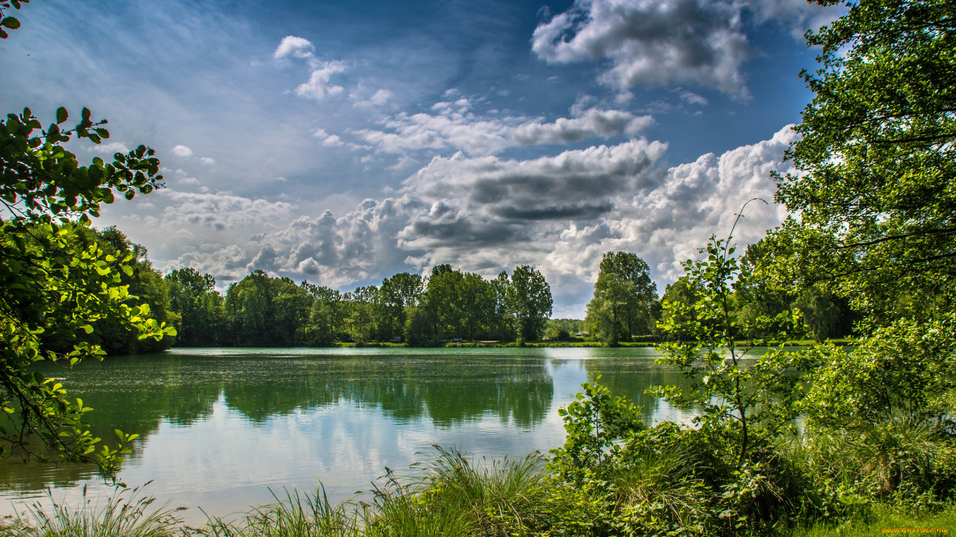 природа, реки, озера, лес, река