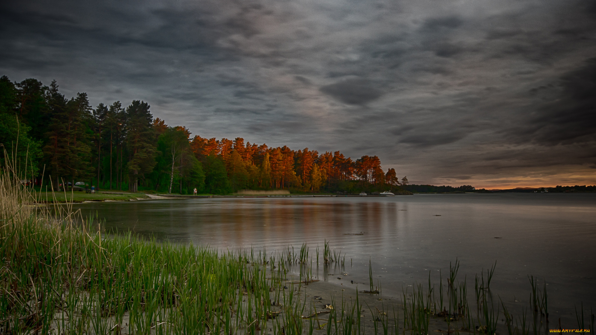 природа, реки, озера, река, лес