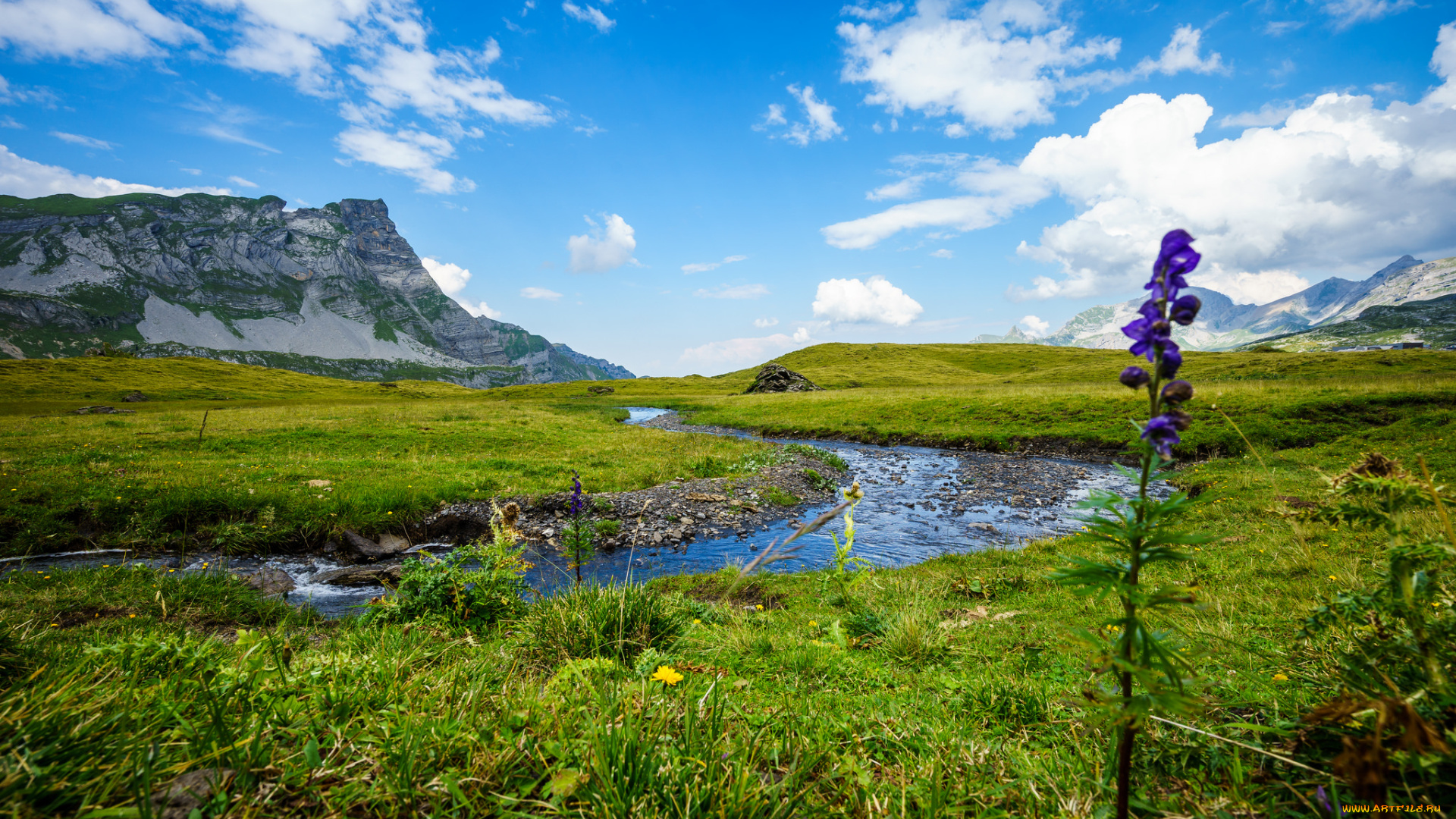 природа, реки, озера, река, лес