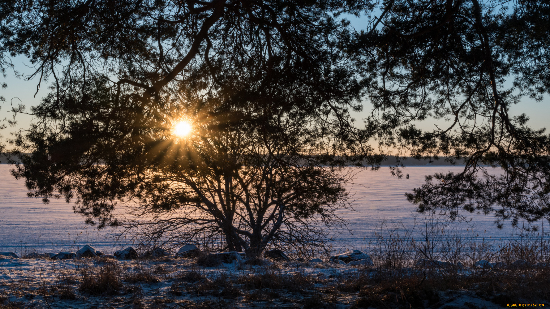 природа, реки, озера, река, лес