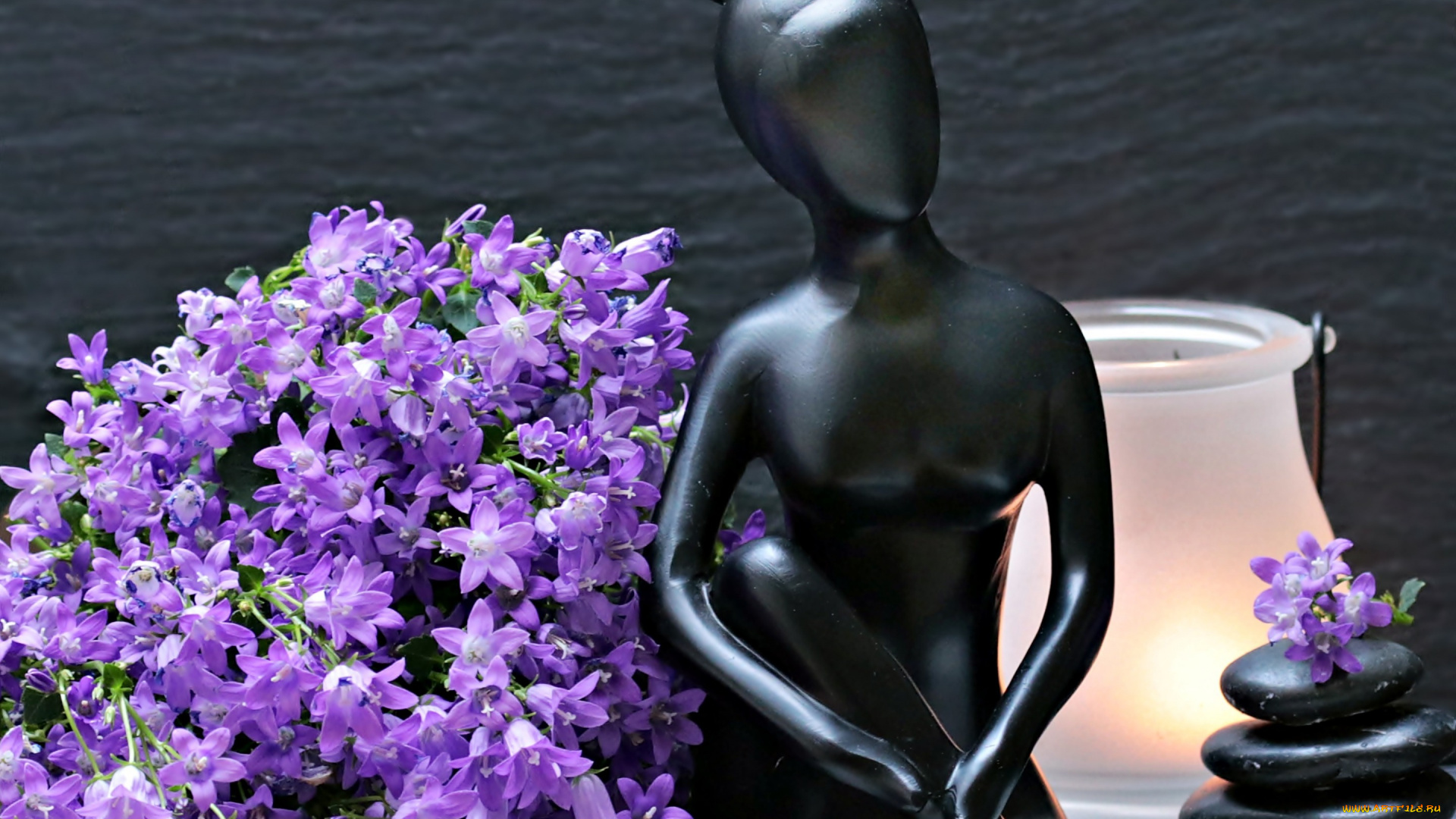 разное, ракушки, , кораллы, , декоративные, и, spa-камни, цветы, статуэтка, фигурка, колокольчики, женщина, лампа, камни