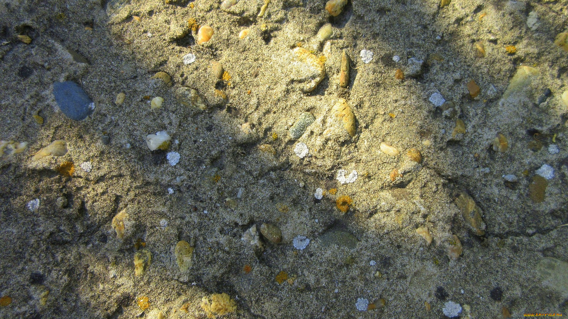 разное, текстуры, плита, бетон