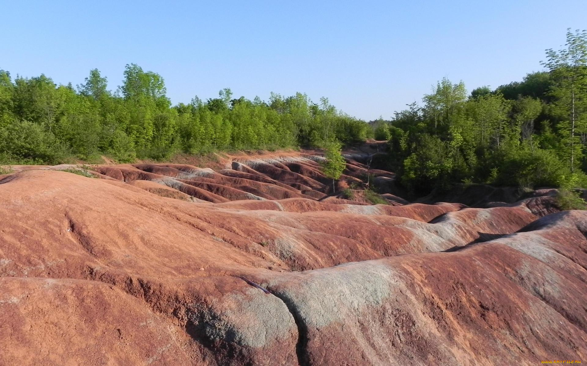 природа, пейзажи, деревья, скалы, лес