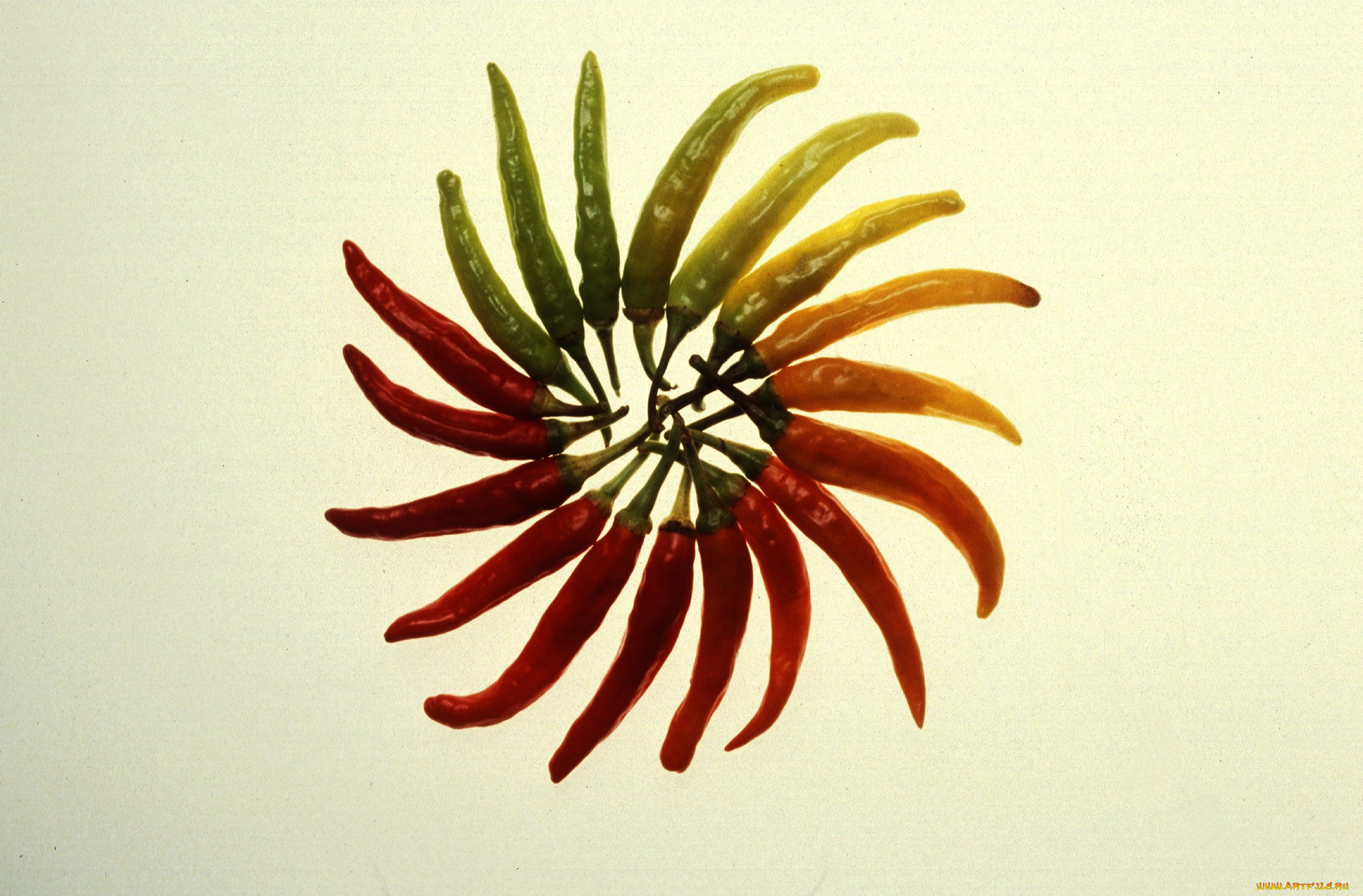 еда, перец, стручки, острый, перчик, жгучий