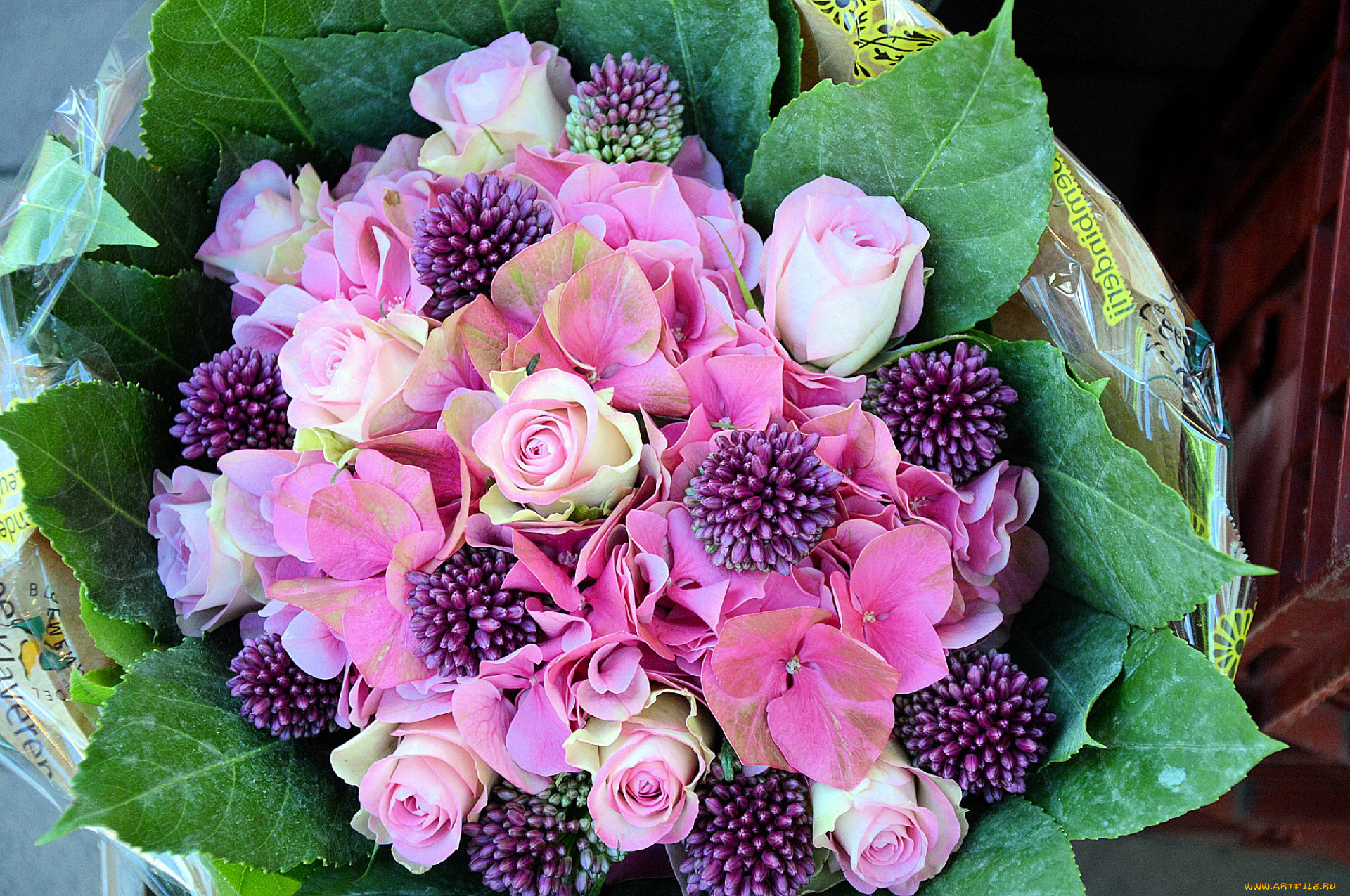 цветы, букеты, , композиции, гортензия, розы