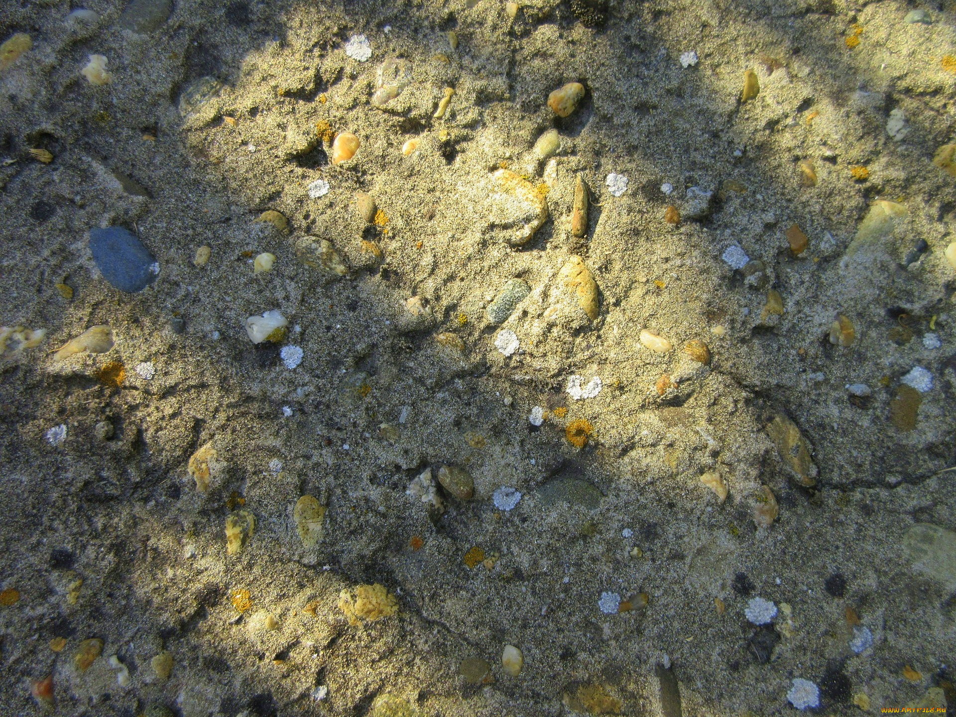 разное, текстуры, плита, бетон