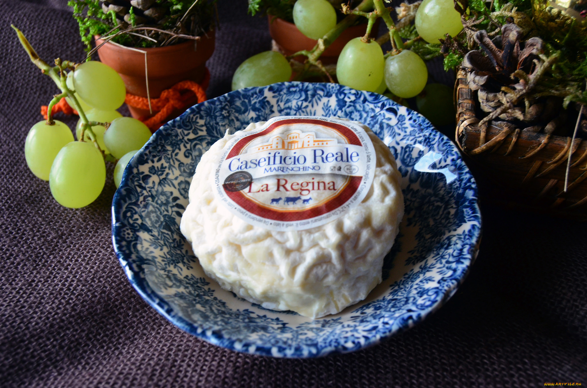 еда, сырные, изделия, сыр