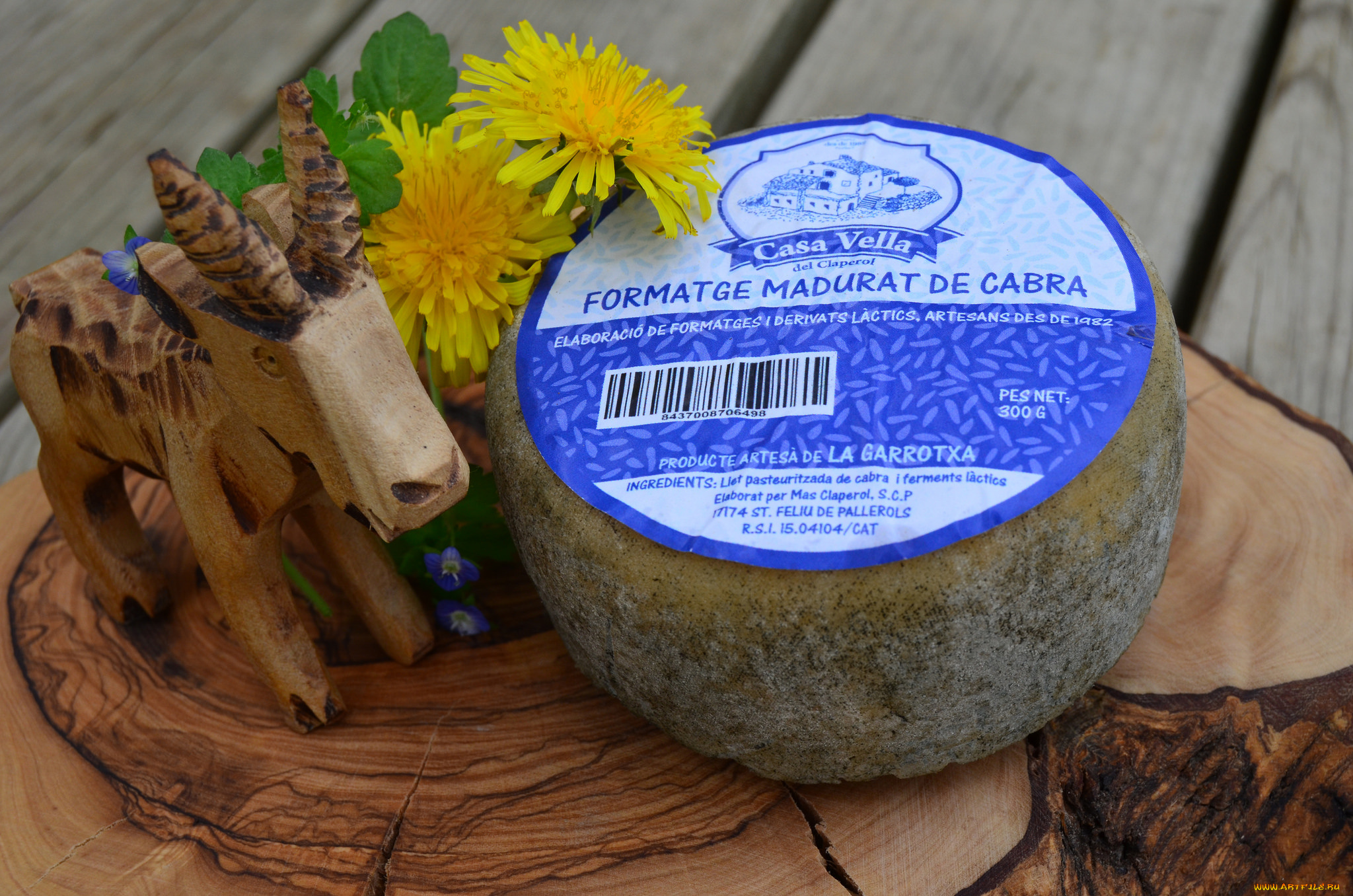 еда, сырные, изделия, сыр