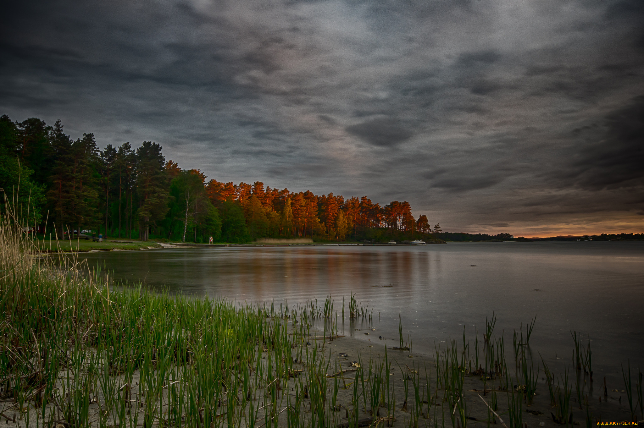 природа, реки, озера, река, лес