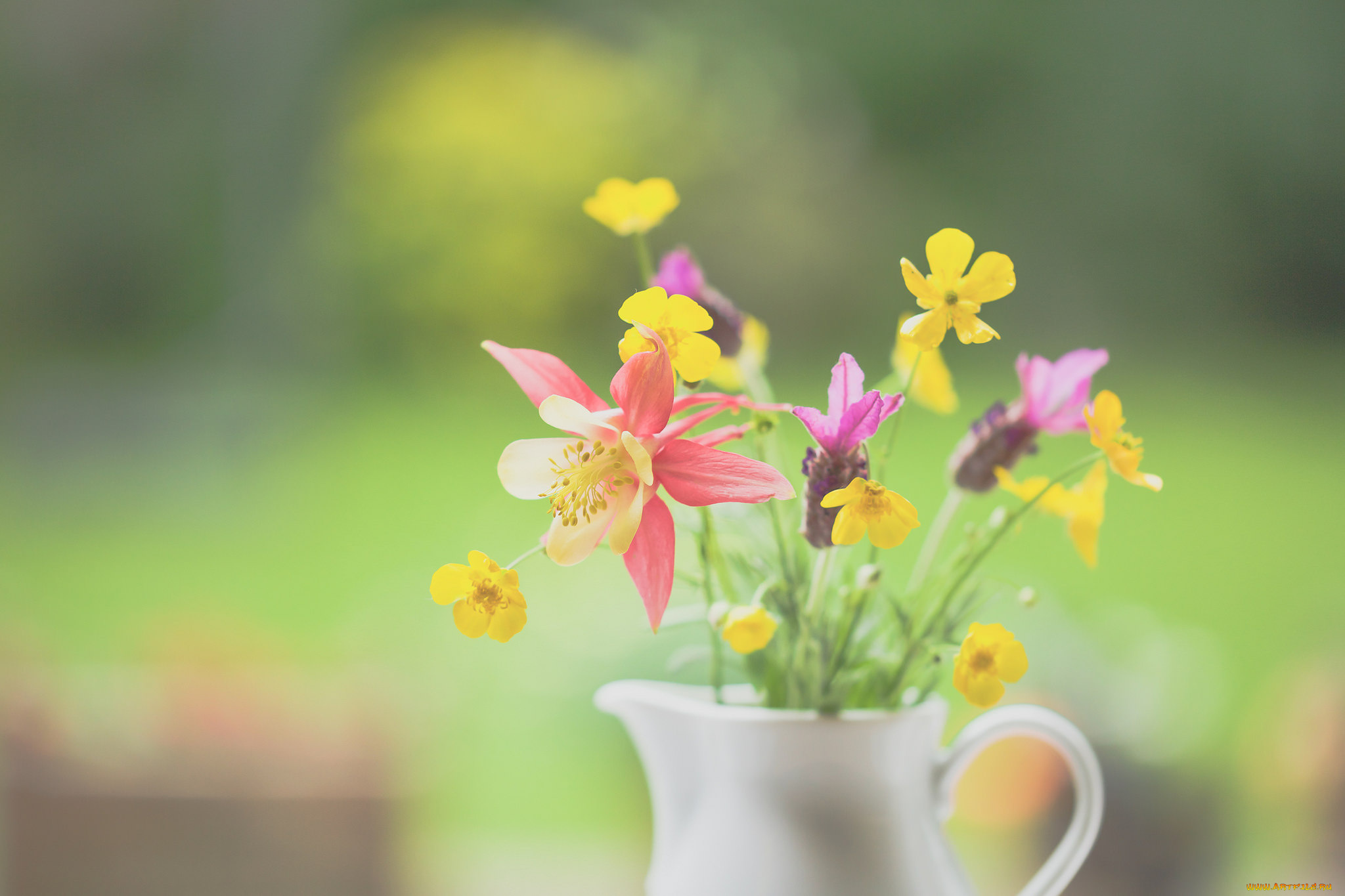 цветы, букеты, , композиции, кувшин