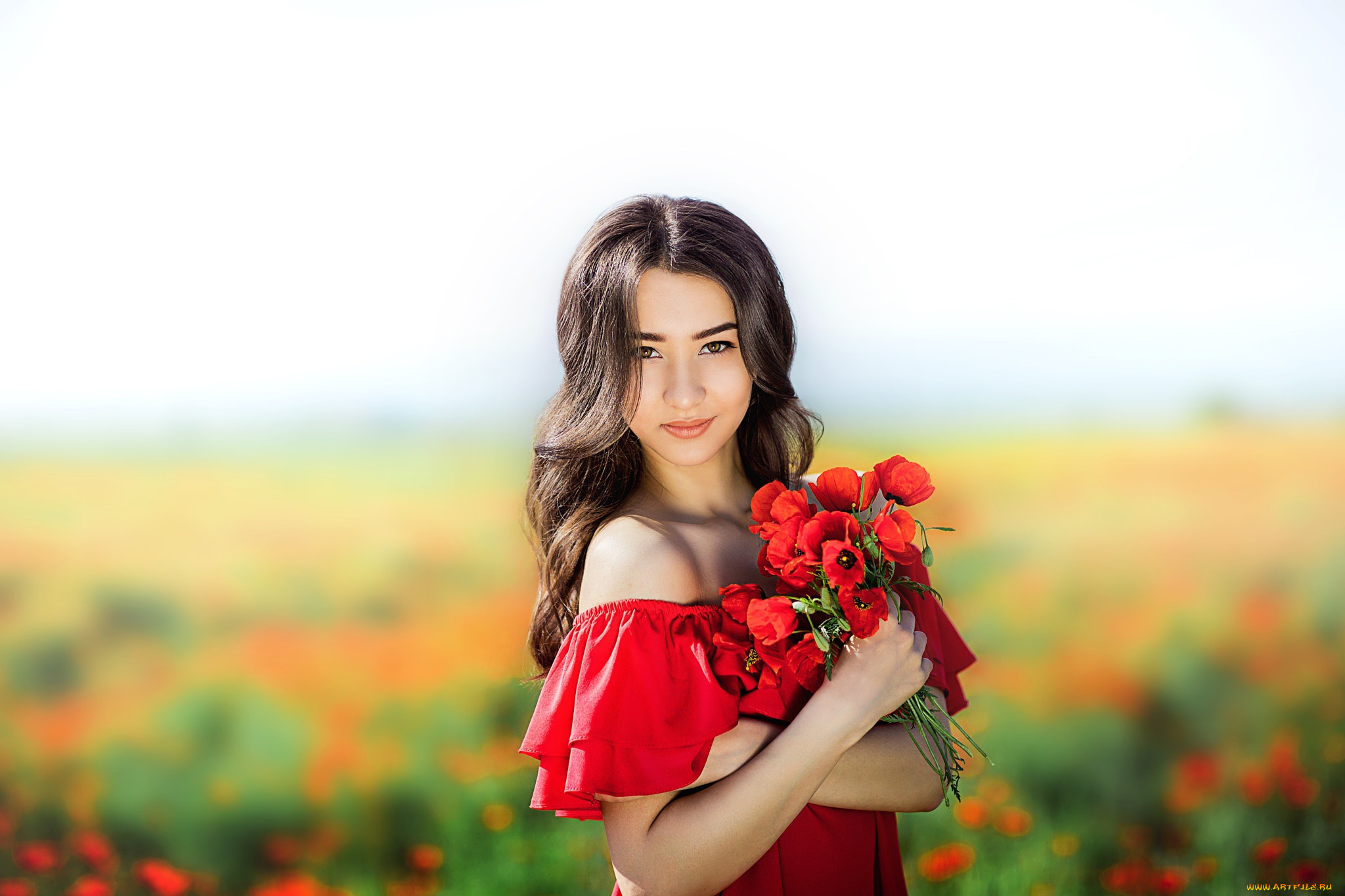 девушки, -unsort, , брюнетки, , шатенки, девушка, маки, поле, цветы, букет, брюнетка, декольте, лето, плечи