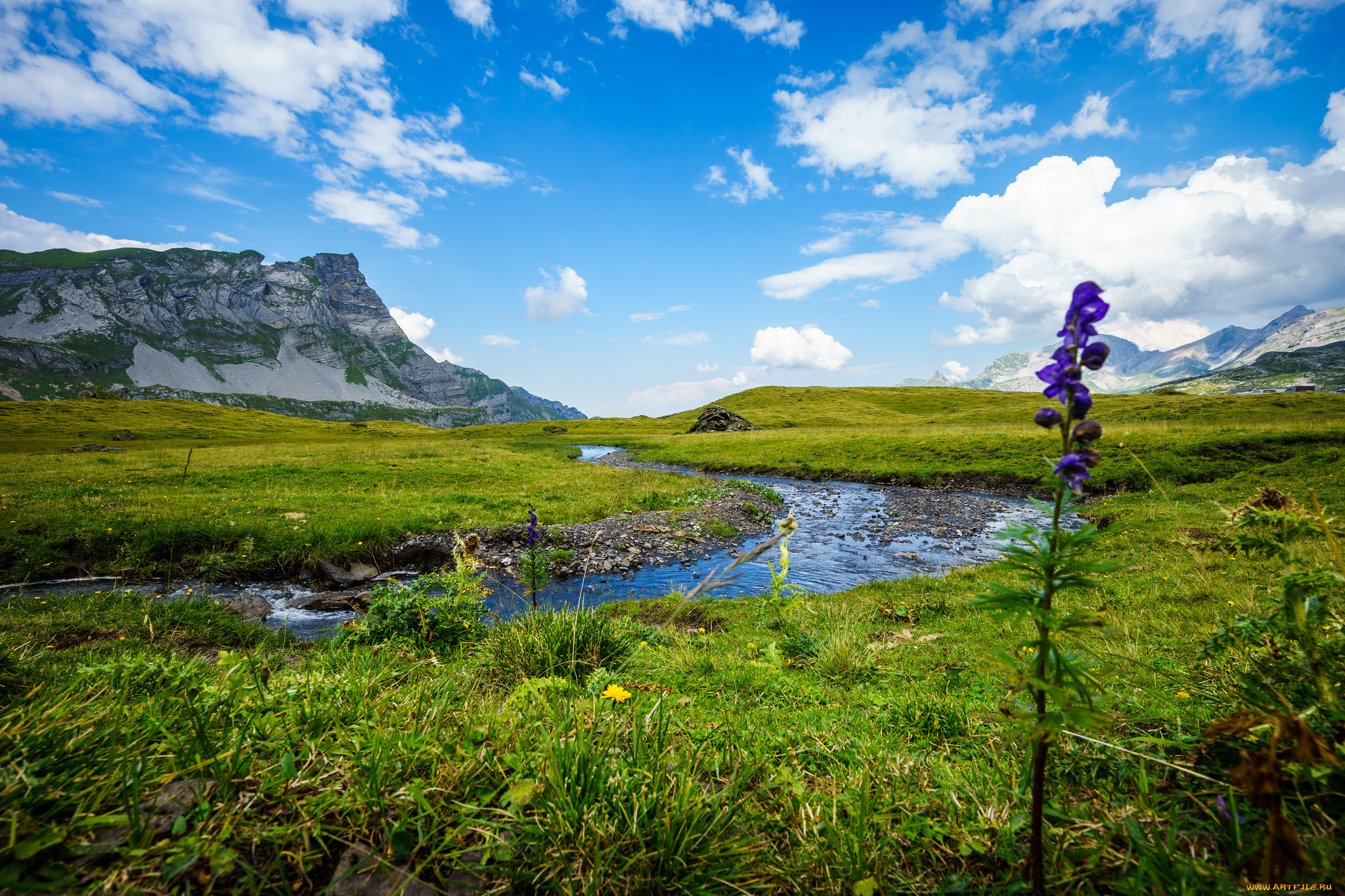 природа, реки, озера, река, лес