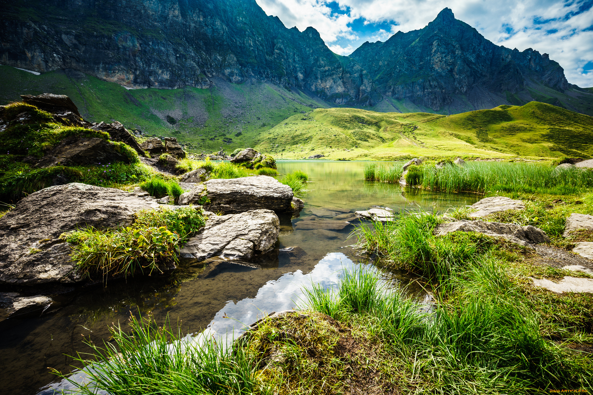 природа, реки, озера, река, лес