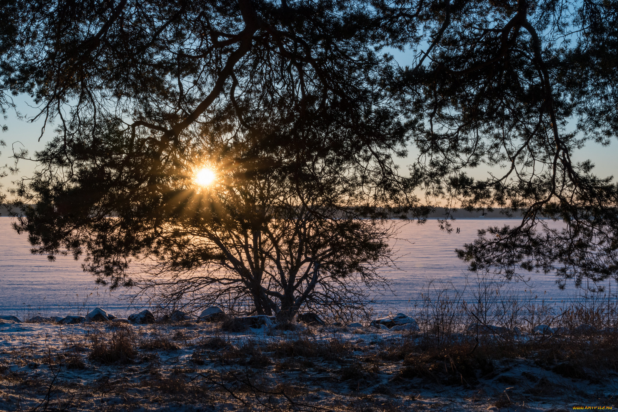 природа, реки, озера, река, лес