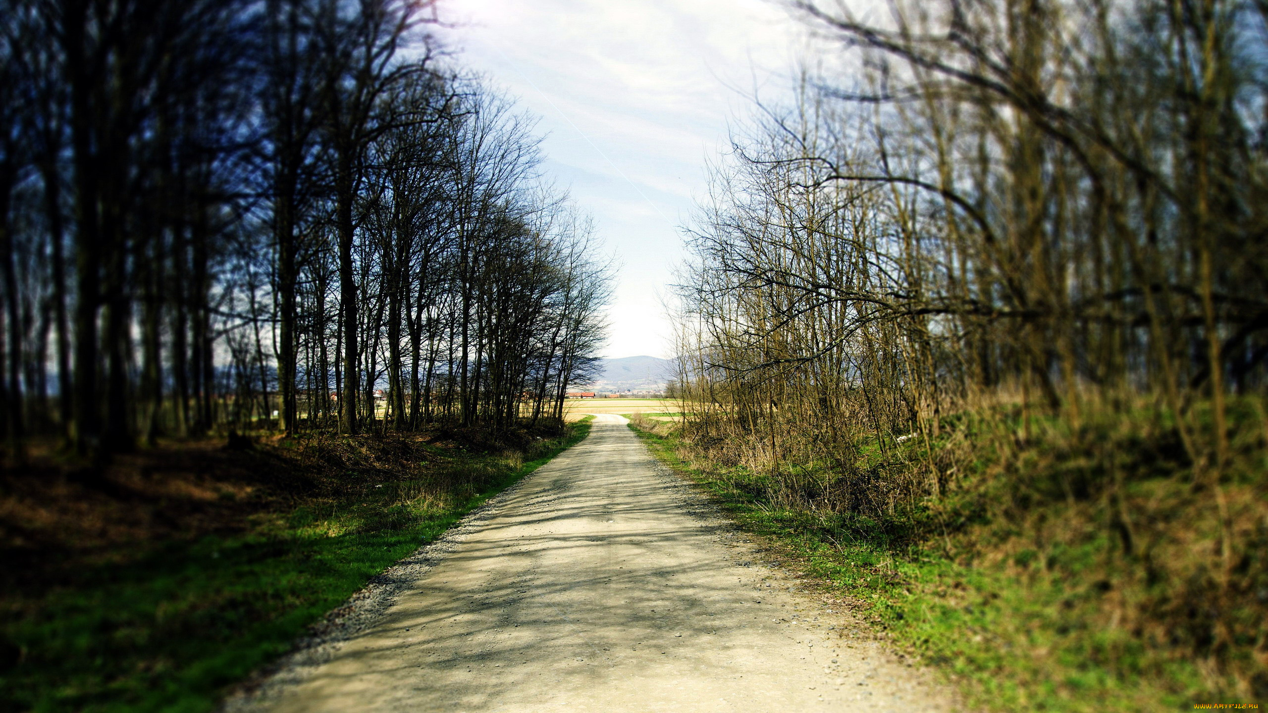 природа, дороги, весна, деревья, дорога, проселочная