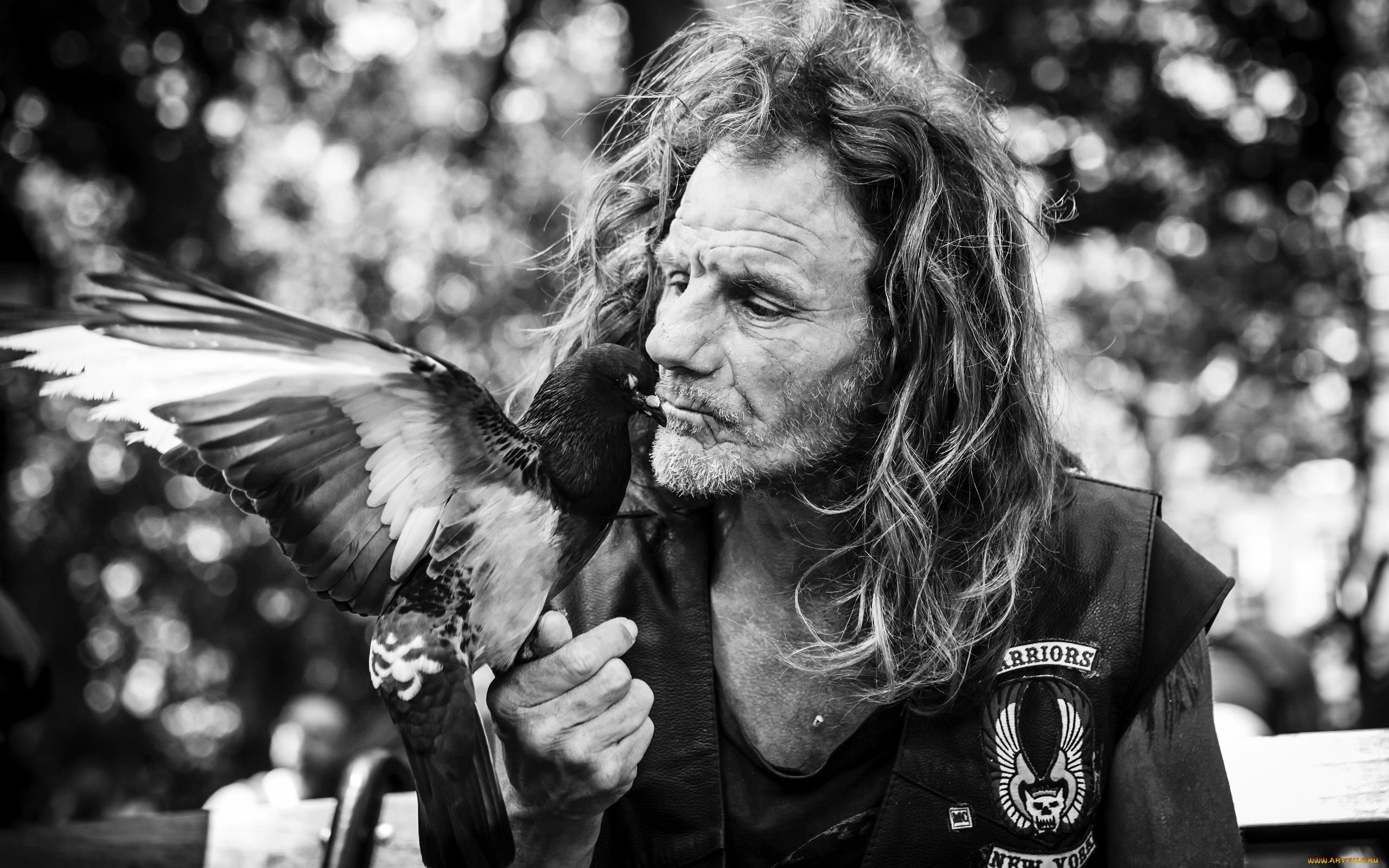 мужчины, -, unsort, портрет, человек, птица