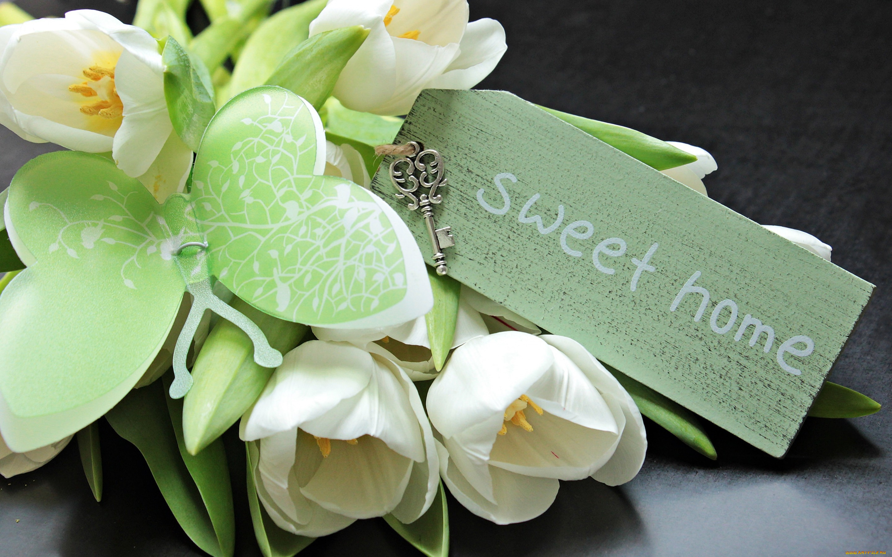 цветы, тюльпаны, бабочка, табличка, ключ
