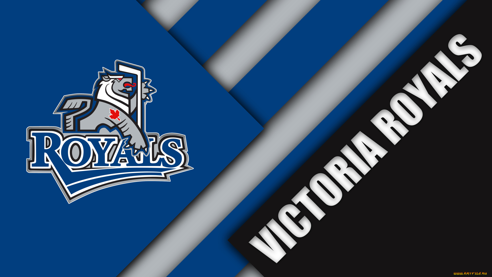 спорт, эмблемы, клубов, логотип, фон, полосы, цвет, линии