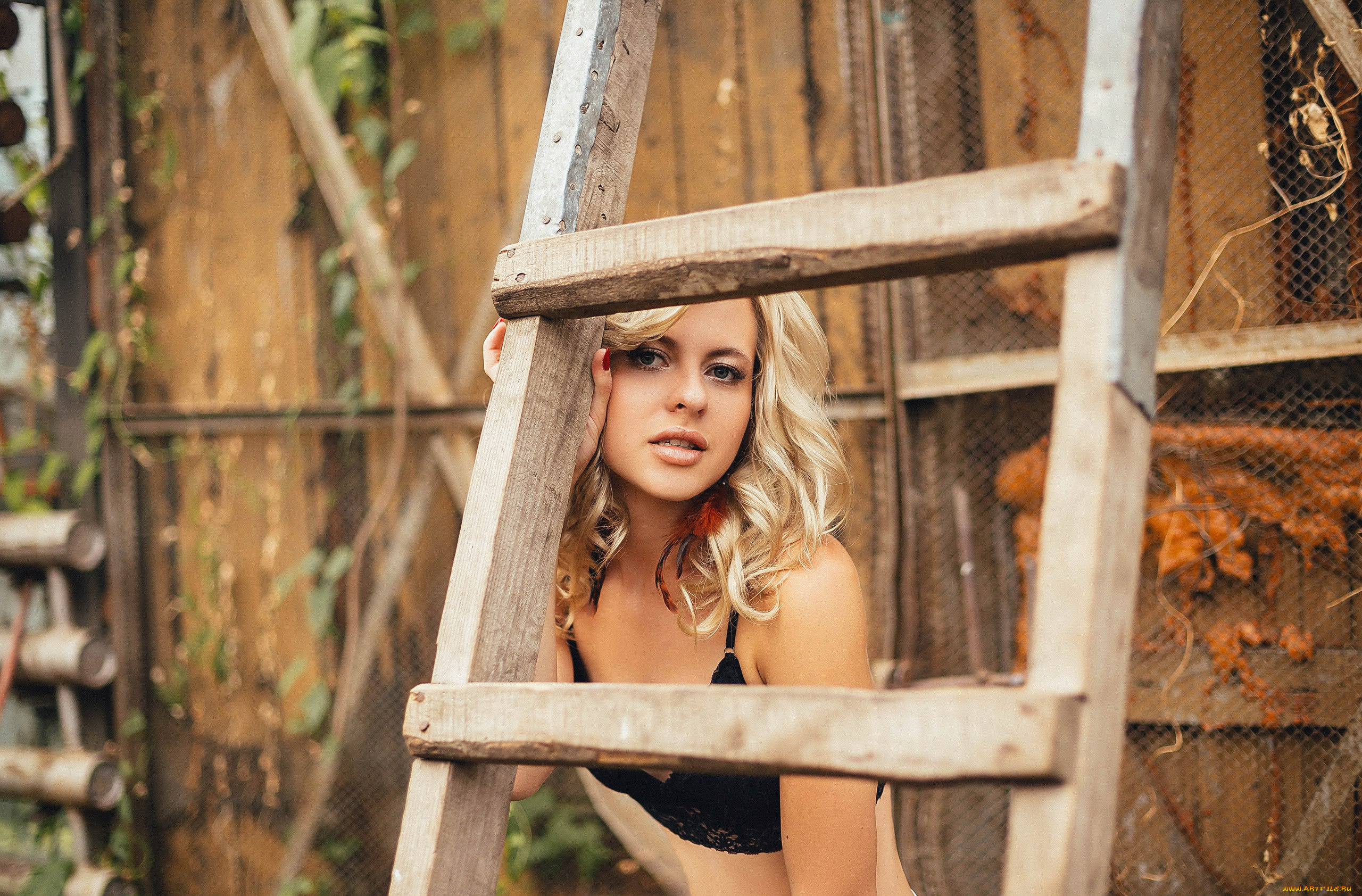 девушка, девушки, -unsort, , блондинки, , светловолосые, модель