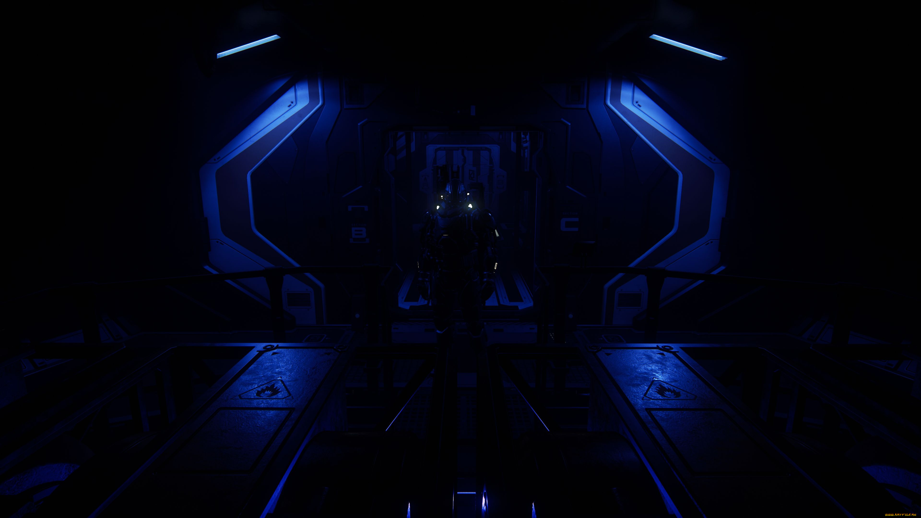 видео, игры, star, citizen, star, citizen