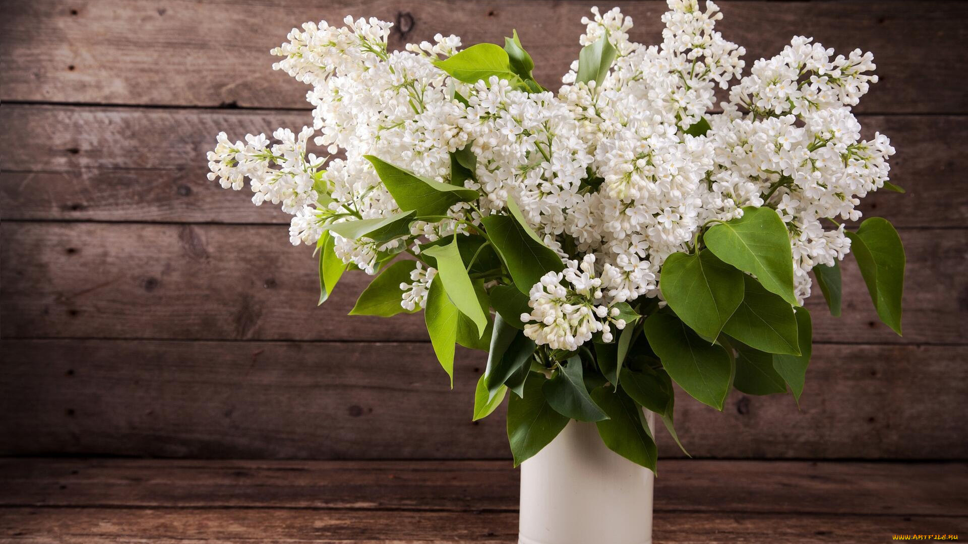 цветы, сирень, белая, букет
