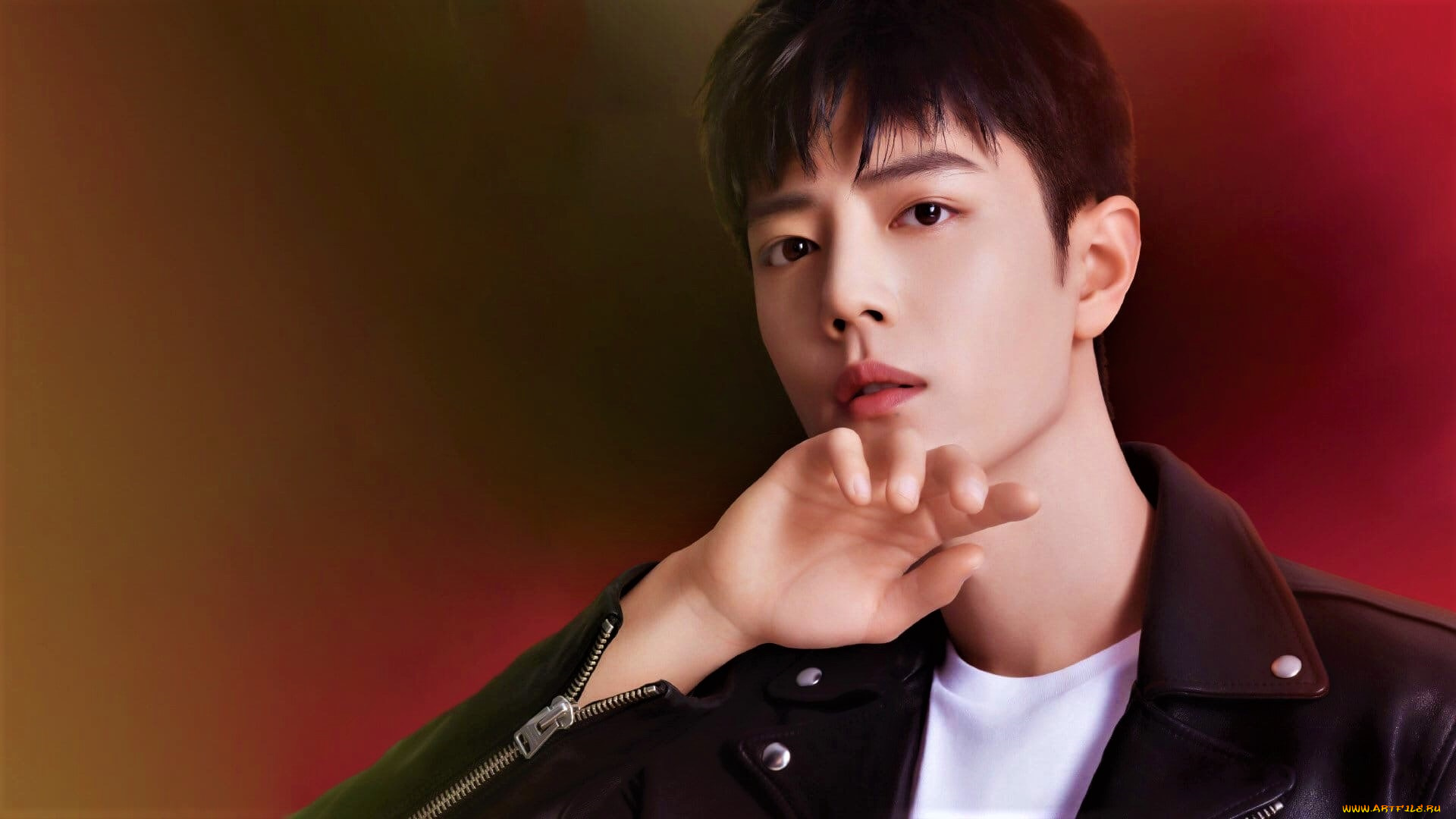 мужчины, xiao, zhan, актер, куртка