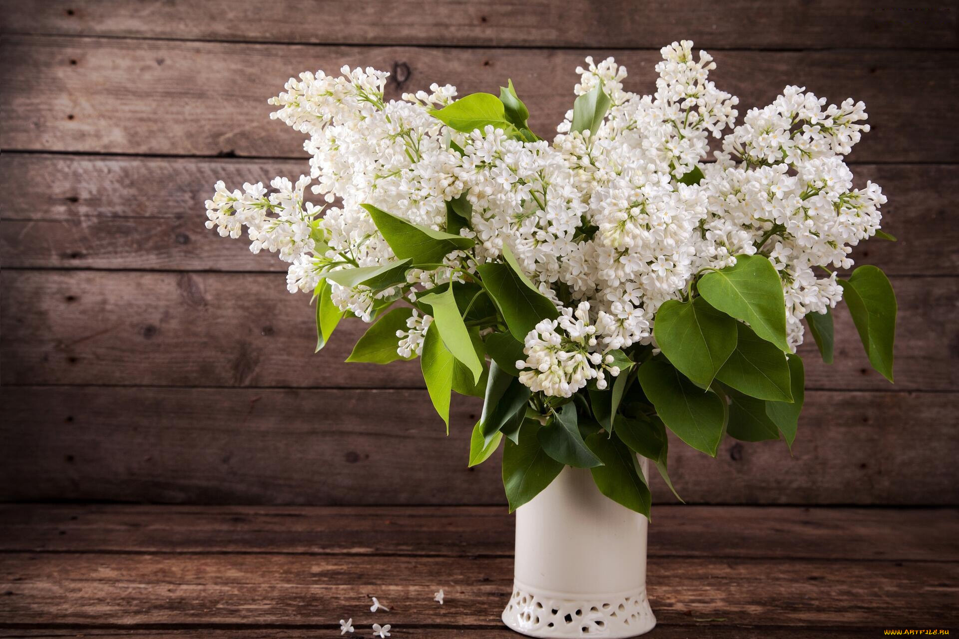 цветы, сирень, белая, букет