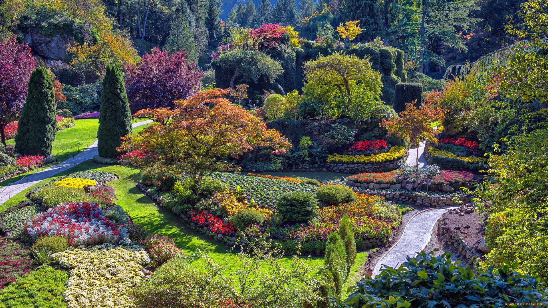 the, butchart, gardens, canada, природа, парк, the, butchart, gardens