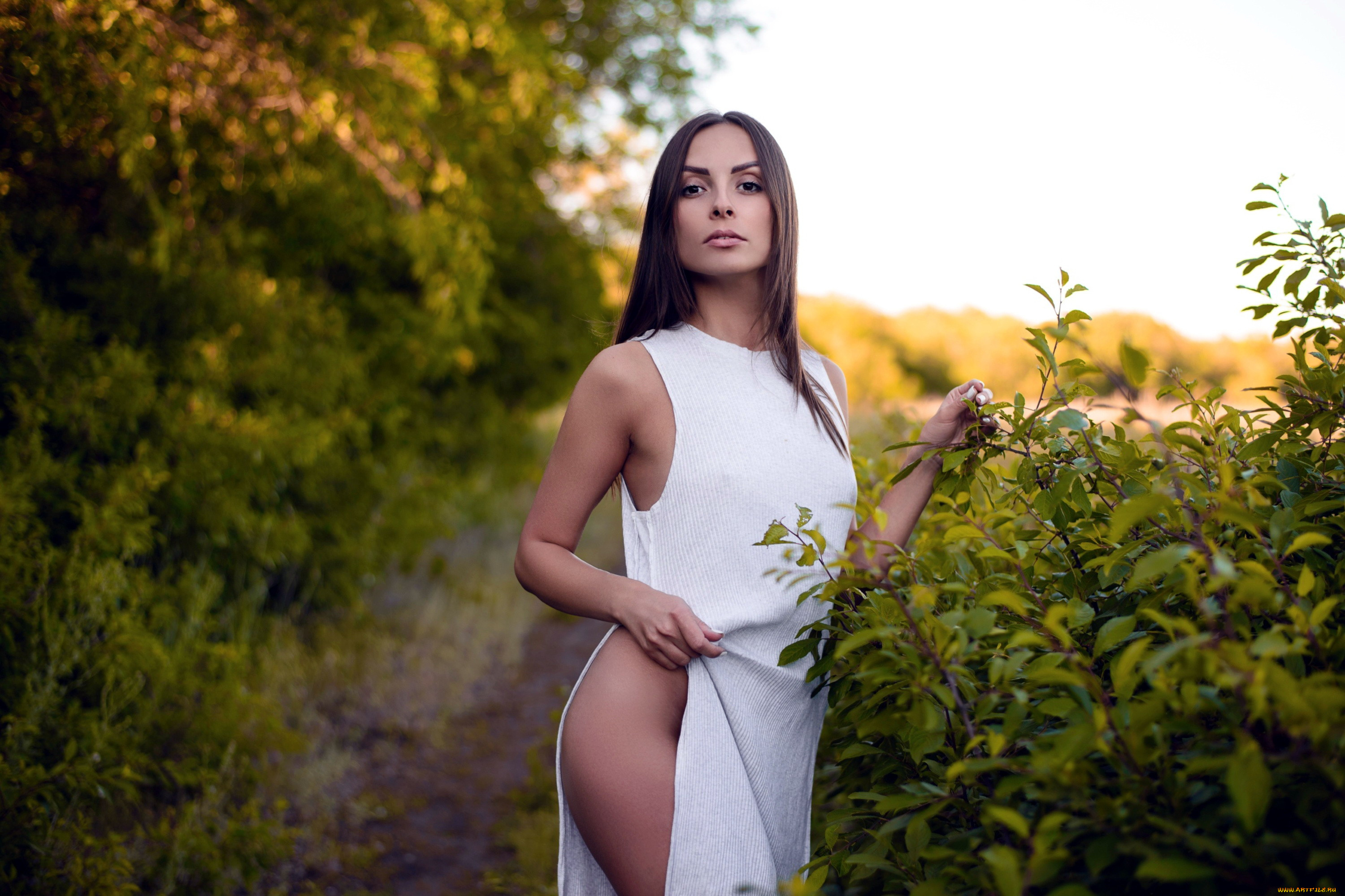 девушки, -, брюнетки, , шатенки, белое, платье