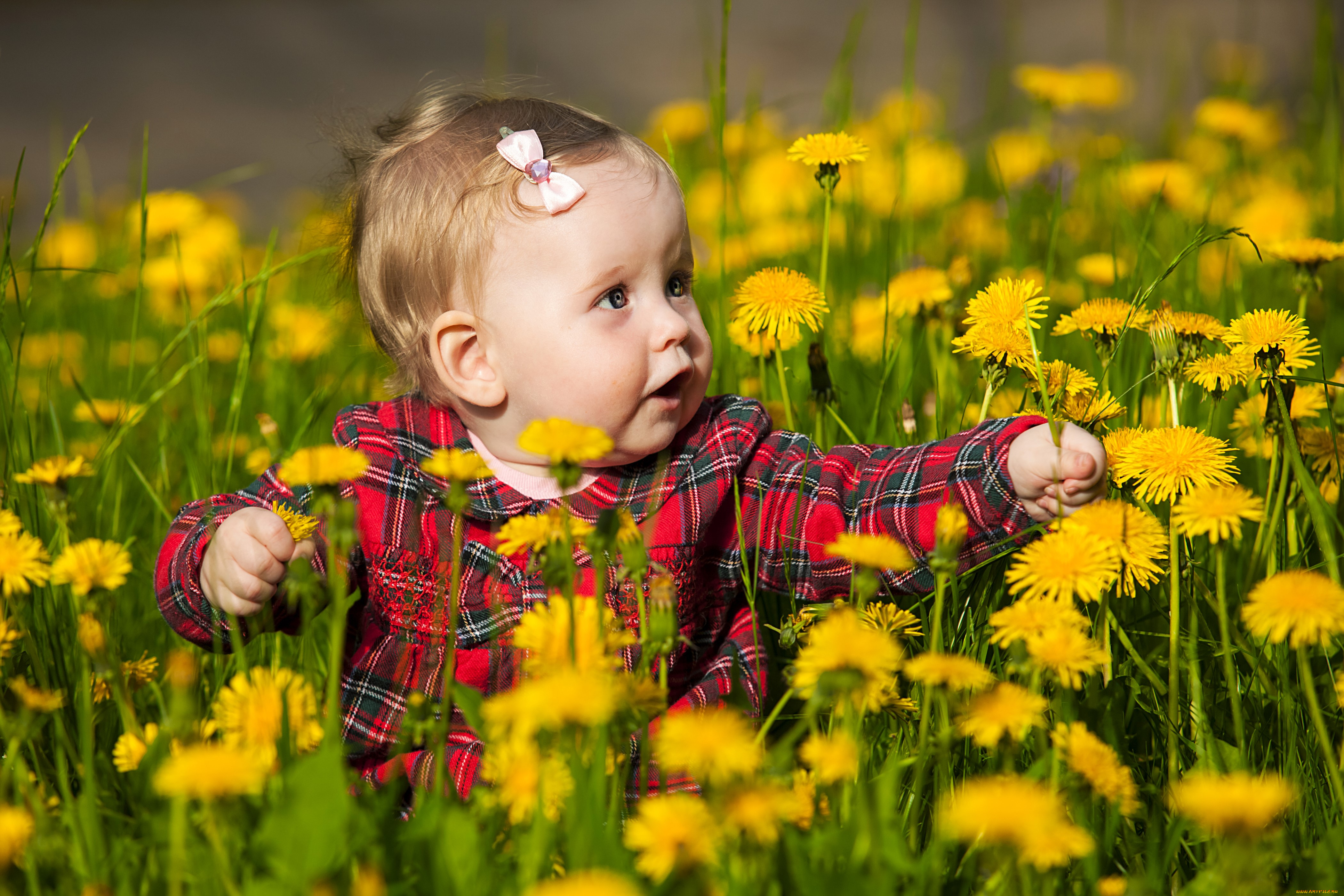 разное, дети, ребенок, рубашка, одуванчики