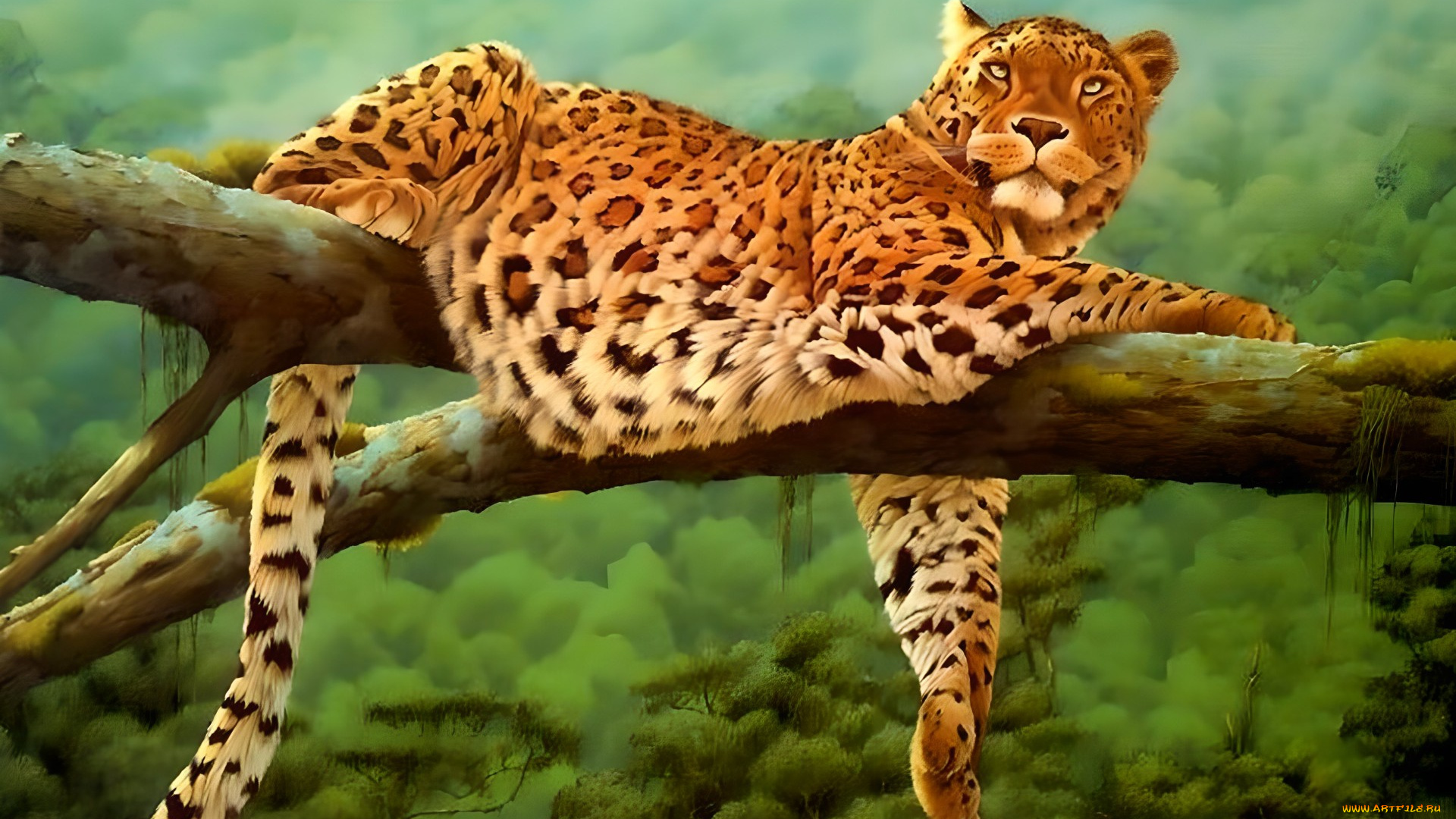 295262, рисованное, животные, , ягуары, , леопарды, животное, хищник