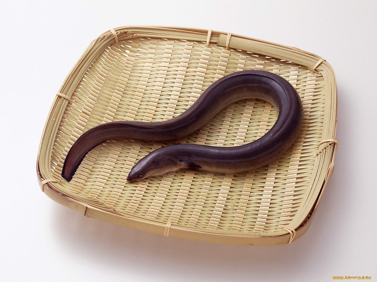 еда, рыба, морепродукты, суши, роллы