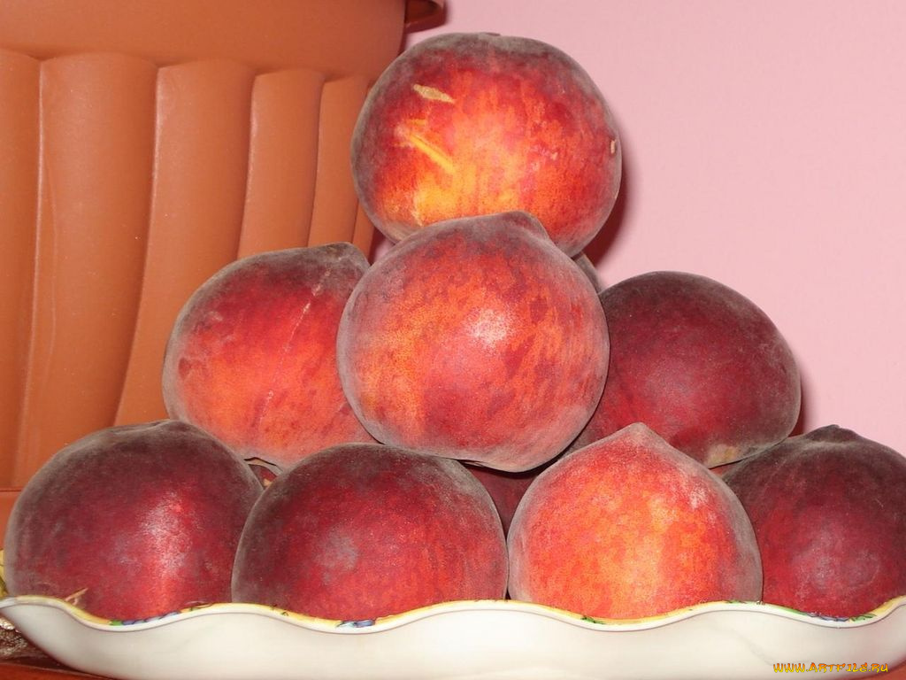 еда, персики, сливы, абрикосы