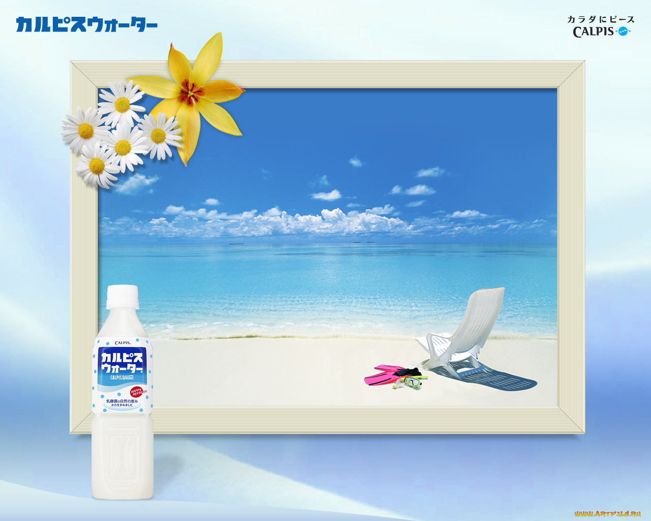 calpis, бренды