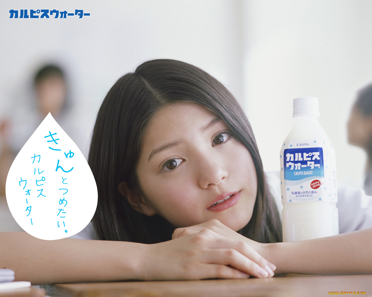 calpis, бренды