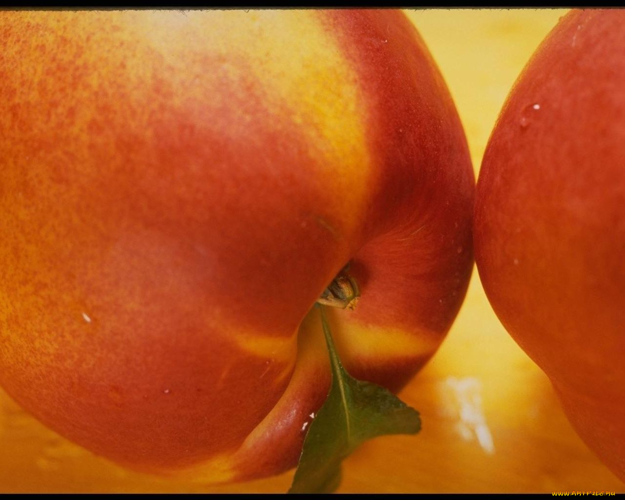 еда, персики, сливы, абрикосы