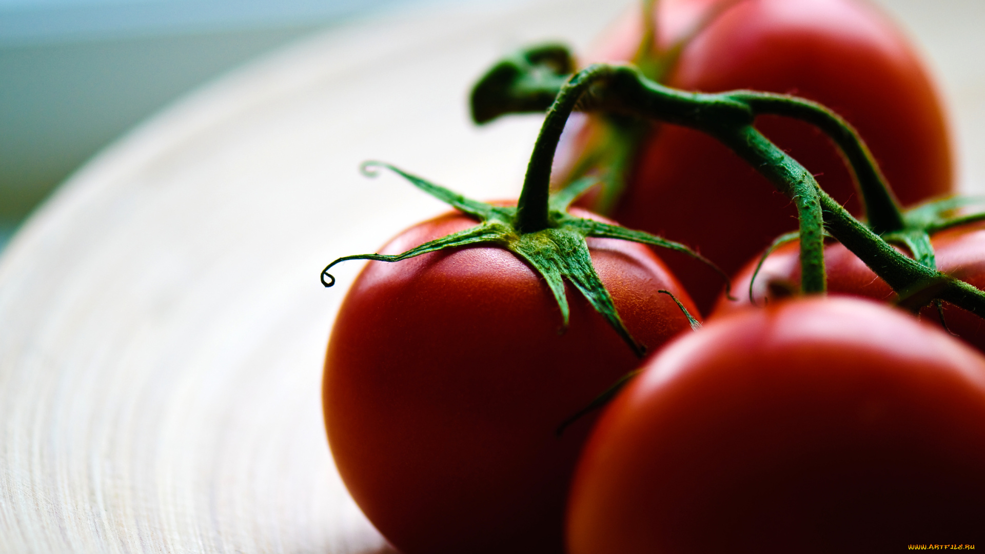 еда, помидоры, томаты