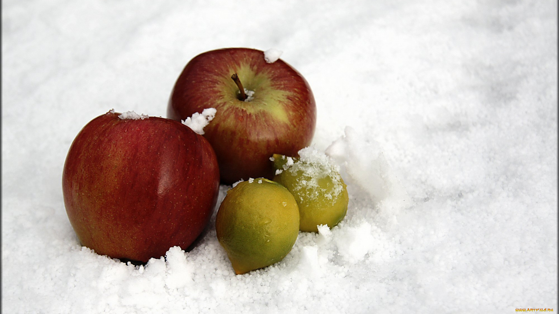 еда, фрукты, ягоды, яблоки, снег