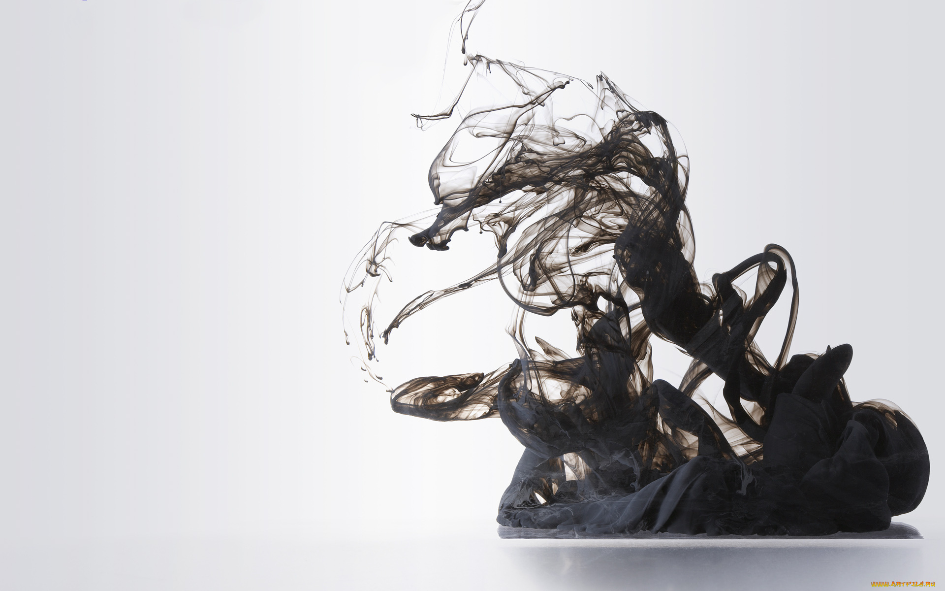 3д, графика, abstract, абстракции, черный, фон, дым