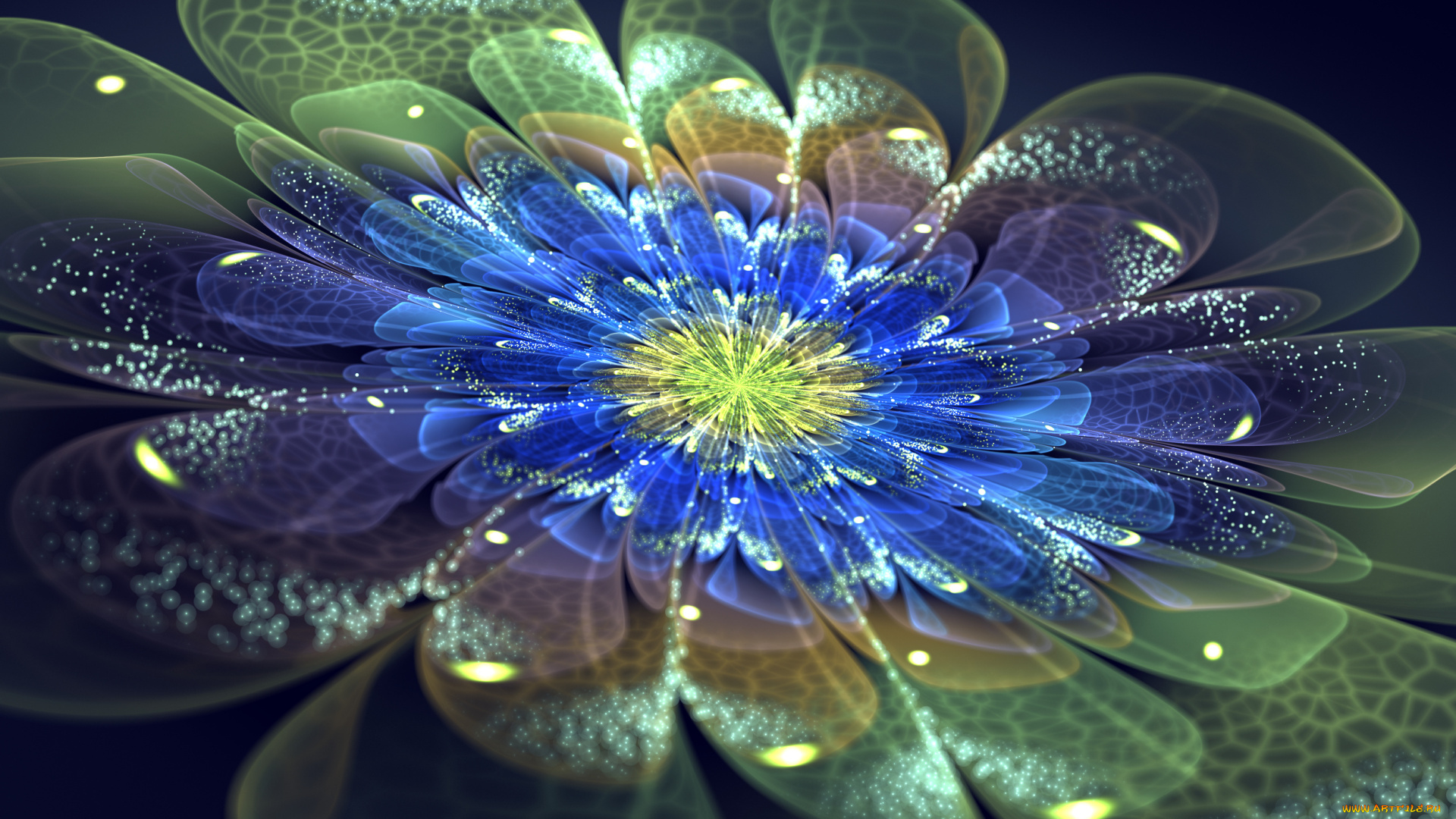 3д, графика, flowers, цветы, цветок, лепестки, неон