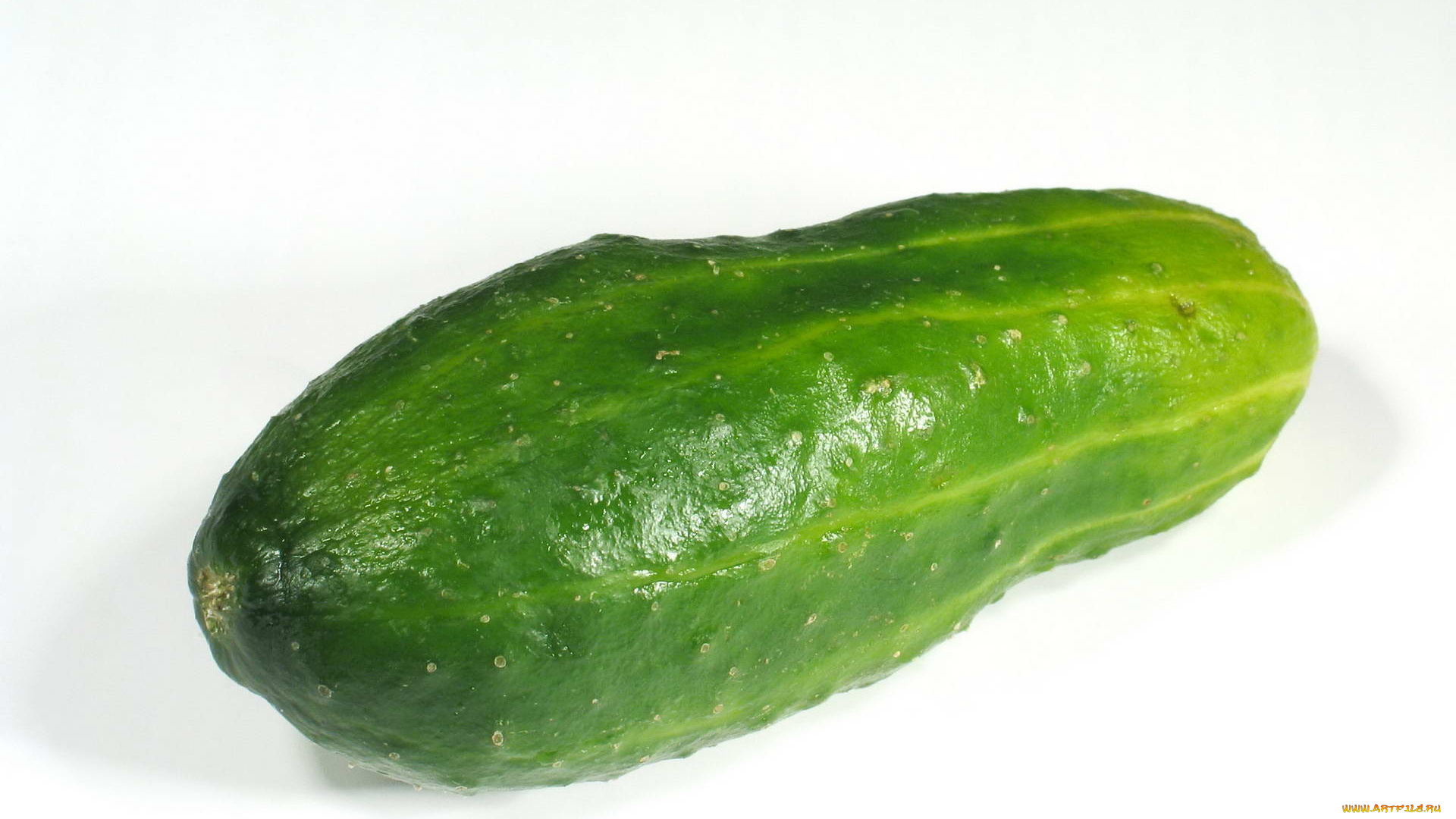 еда, огурцы, огурец